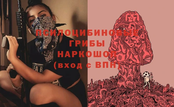 mdma Новодвинск