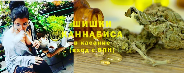 винт Няндома