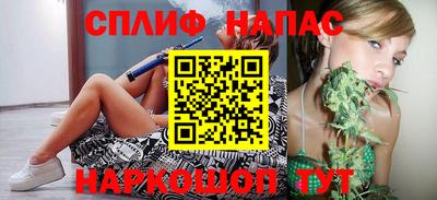 стаф Аргун