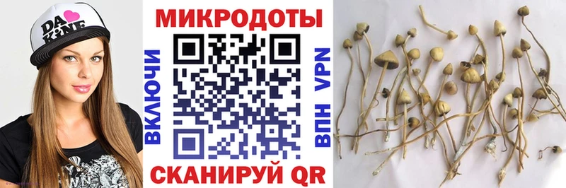Галлюциногенные грибы мицелий  Ливны 