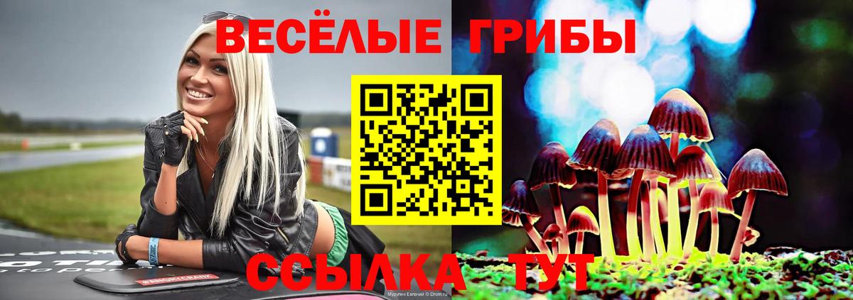 Ливны  Псилоцибиновые грибы прущие грибы  Вход с VPN 